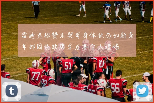 雷迪克称赞东契奇身体状态如新秀年却因伤缺席季后赛令人遗憾